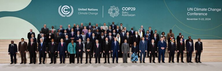 L’elefant a la sala de les cimeres climàtiques