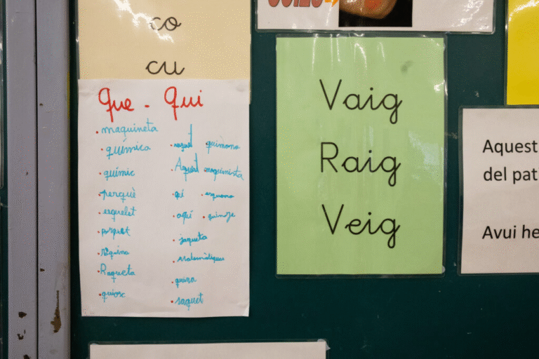 Llengua, polítiques lingüístiques i economia: tot en un taller (i resumit en mil paraules)