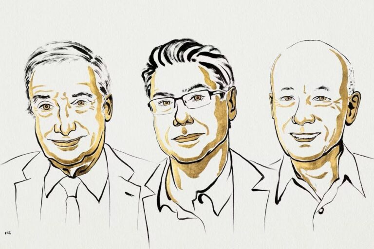El Premi Nobel d’Economia 2025: innovació i creixement econòmic